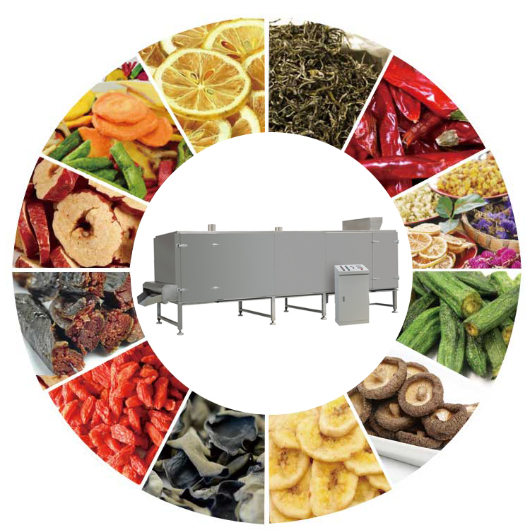304 stainless steel fruit and vegetable diced processing dryer corn flakes rice hot drying machine